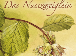 „Das Nusszweiglein“