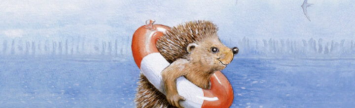 „Und der Igel schwimmt doch!“